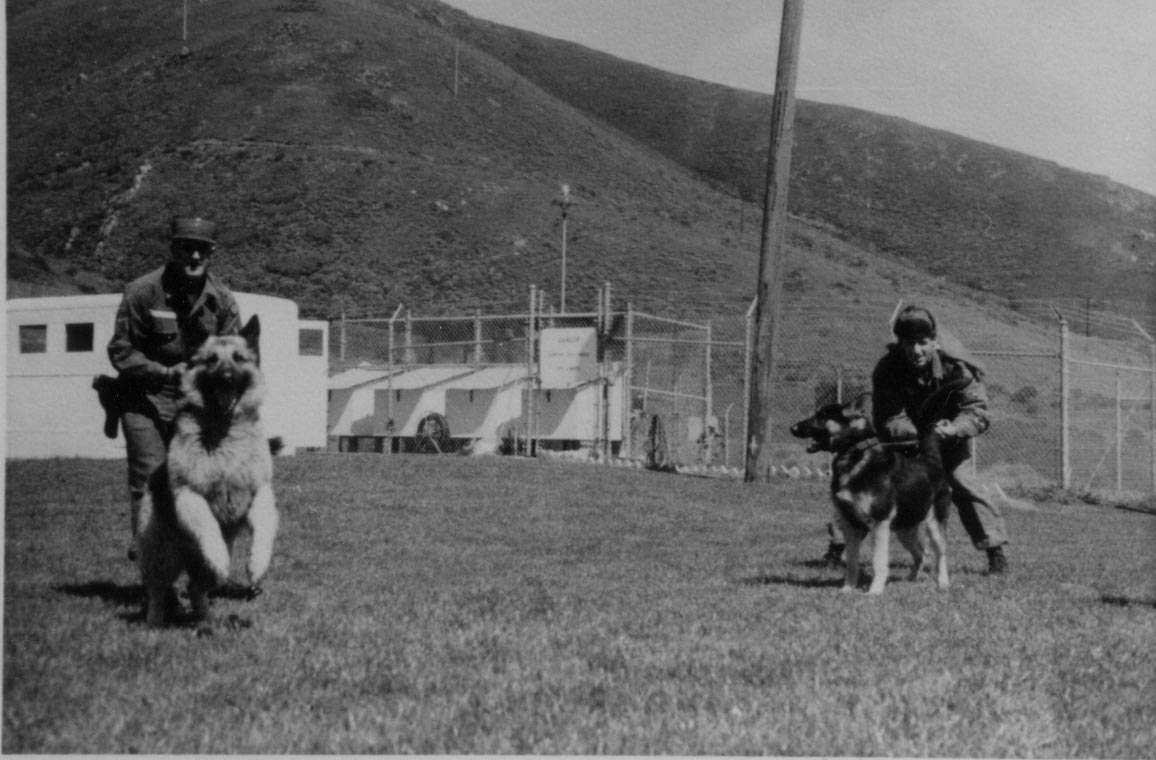 Two handlers restraining their dogs.