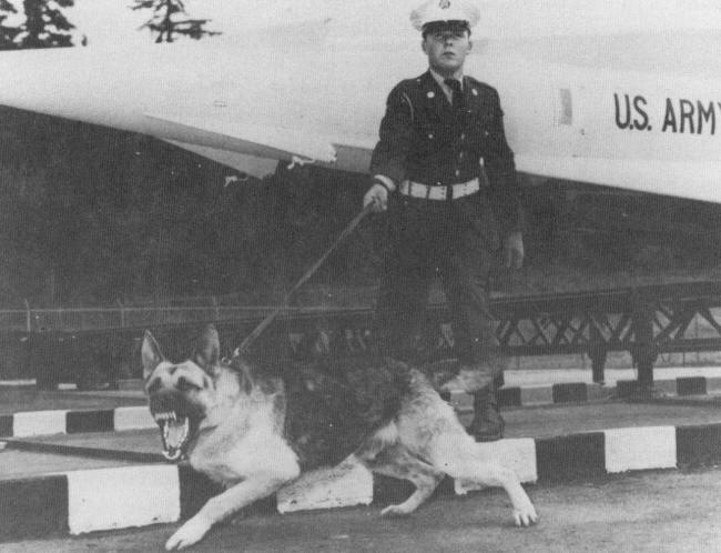 Leashed dog trying to attack.