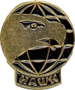 Hawk icon